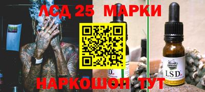 индика Новодвинск