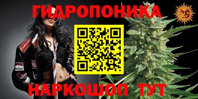 амф Новозыбков