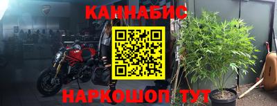 индика Новодвинск