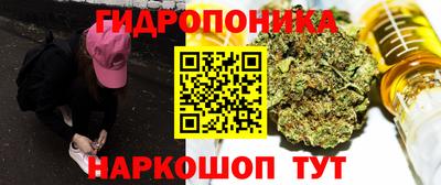 амф Новозыбков