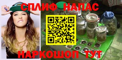 амф Новозыбков
