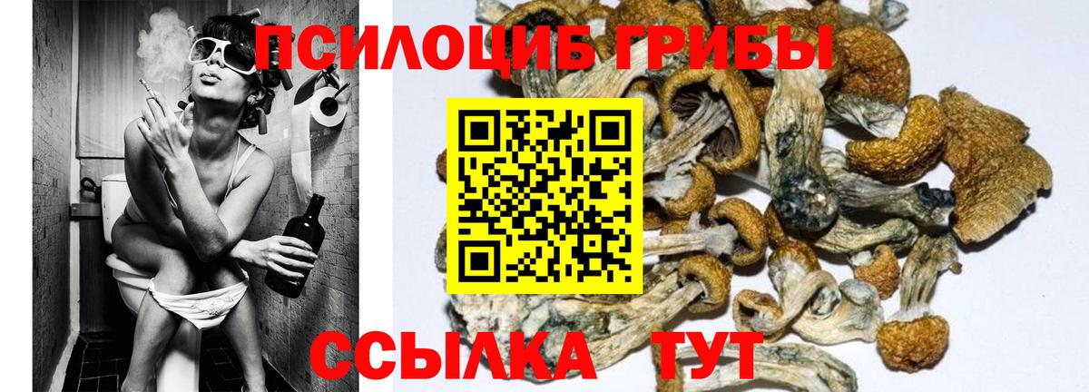 Галлюциногенные грибы MAGIC MUSHROOMS  Вход с VPN  Сызрань  Псилоцибиновые грибы Magic Shrooms 